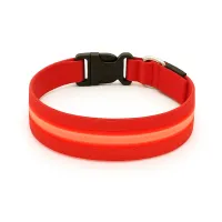 Must&Co - Collier Lumineux pour Chien