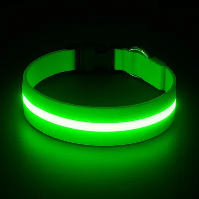 Must&Co - Collier Lumineux pour Chien