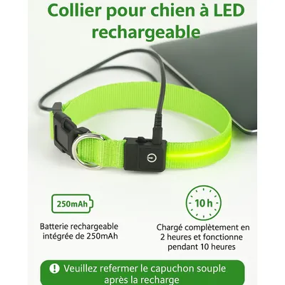 Must&Co - Collier Lumineux pour Chien