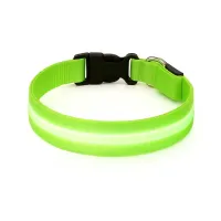 Must&Co - Collier Lumineux pour Chien