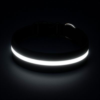Must&Co - Collier Lumineux pour Chien
