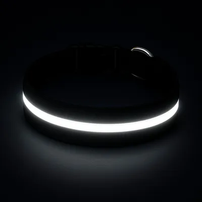 Must&Co - Collier Lumineux pour Chien