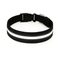 Must&Co - Collier Lumineux pour Chien