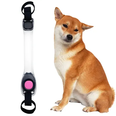 ZenPets Bande lumineuse pour animaux de compagnie