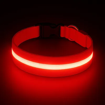 Must&Co - Collier Lumineux pour Chien