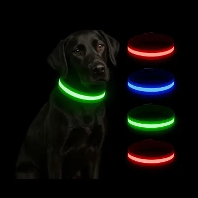 Must&Co - Collier Lumineux pour Chien