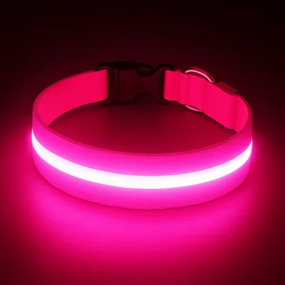 Must&Co - Collier Lumineux pour Chien