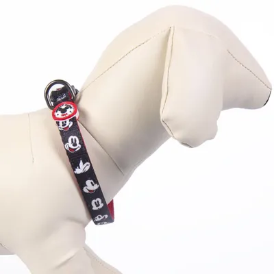 Mickey Collier pour chien en polyester