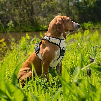 lionto Anti-Zug Hundegeschirr aus weichem Nylon mit Polsterung