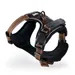 lionto harnais pour chien rembourré nylon doux anti-traction