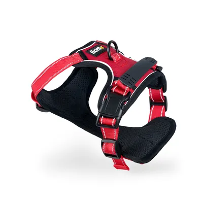 lionto harnais pour chien rembourré nylon doux anti-traction