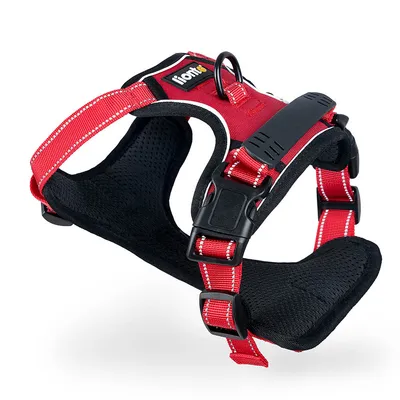 lionto harnais pour chien rembourré nylon doux anti-traction