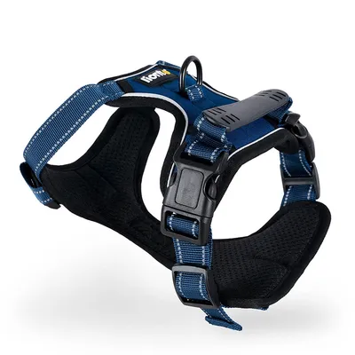 lionto harnais pour chien rembourré nylon doux anti-traction lionto harnais pour chien rembourré nylon doux anti-traction