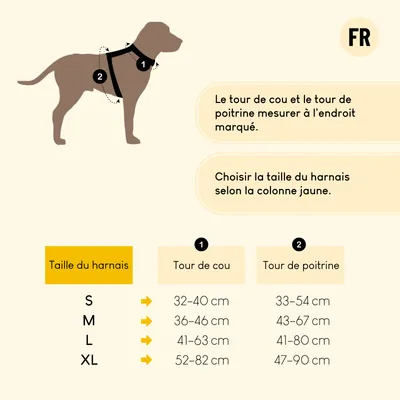 lionto harnais pour chien rembourré nylon doux anti-traction