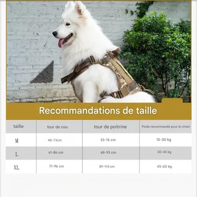 IntiMeg Harnais tactique pour chiens moyens et grands