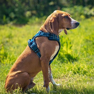 lionto Anti-Zug Hundegeschirr aus weichem Nylon mit Polsterung
