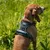 lionto harnais pour chien rembourré nylon doux anti-traction lionto harnais pour chien rembourré nylon doux anti-traction