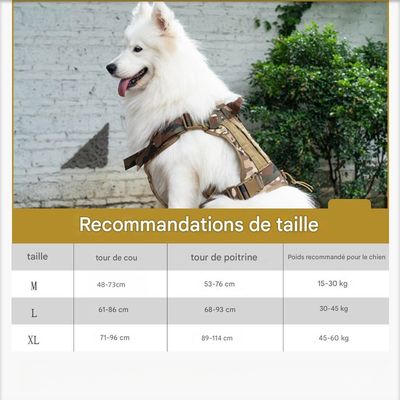 IntiMeg Harnais tactique pour chiens moyens et grands