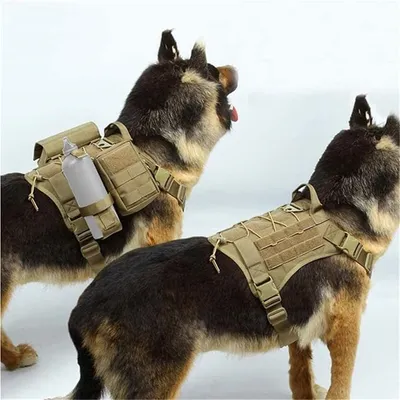 IntiMeg Harnais tactique pour chiens moyens et grands