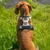 lionto harnais pour chien rembourré nylon doux anti-traction lionto harnais pour chien rembourré nylon doux anti-traction
