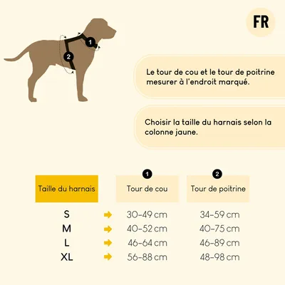 lionto harnais pour chien rembourré nylon doux anti-traction