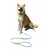 ZenPets Laisse pour chien