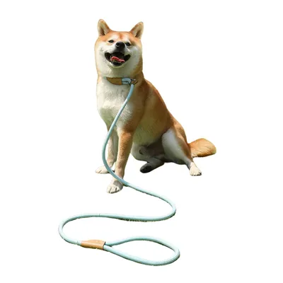 ZenPets Laisse pour chien