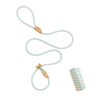 ZenPets Laisse pour chien