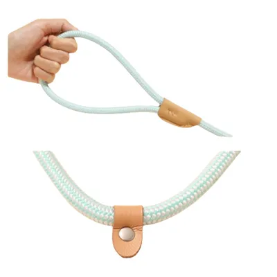 ZenPets Laisse pour chien