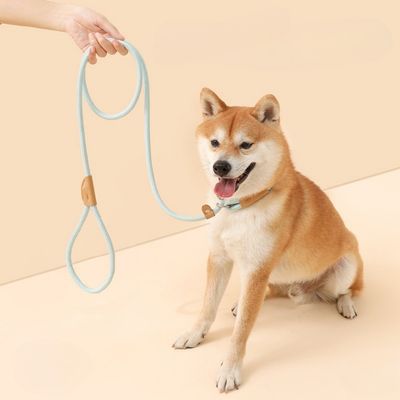 ZenPets Laisse pour chien