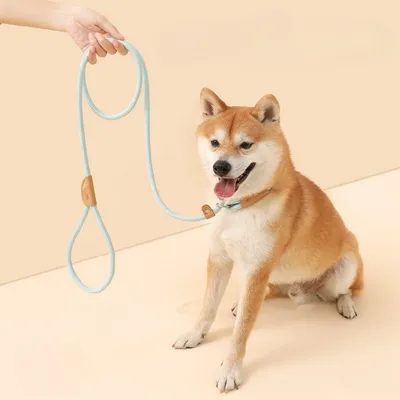 ZenPets Laisse pour chien