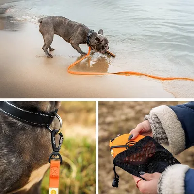 lionto laisse de traction longue pour chiens nylon avec revêtement PVC