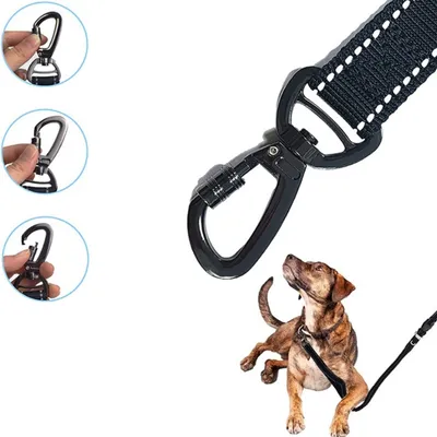 ZenPets Corde de promenade réfléchissante pour chien