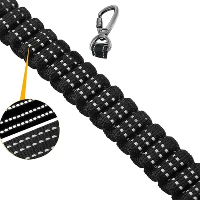 ZenPets Corde de promenade réfléchissante pour chien