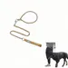 IntiMeg Laisse pour chien en acier inoxydable