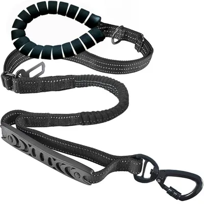 ZenPets Corde de promenade réfléchissante pour chien