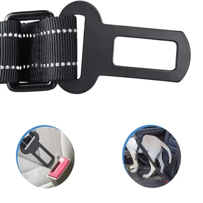 ZenPets Corde de promenade réfléchissante pour chien