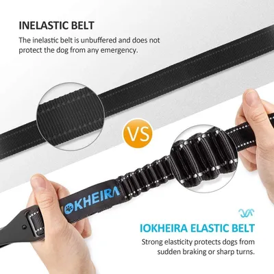 IOKHEIRA Ceinture sécurité chien avec absorption d'énergie