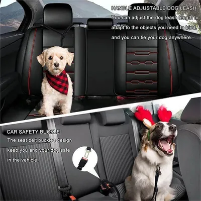 IOKHEIRA Laisse réglable avec ceinture de sécurité pour chien