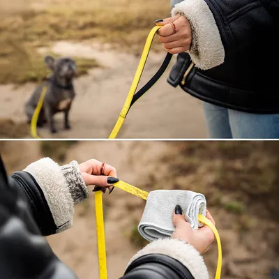 lionto laisse de traction longue pour chiens nylon avec revêtement PVC