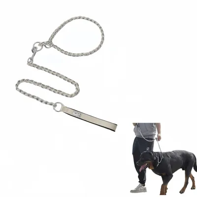 IntiMeg Laisse pour chien en acier inoxydable