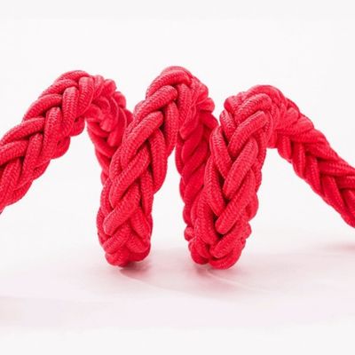 ZenPets Corde de traction en forme de tressé pour gros chiens