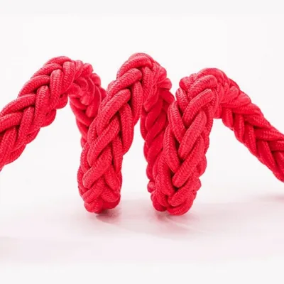 ZenPets Corde de traction en forme de tressé pour gros chiens