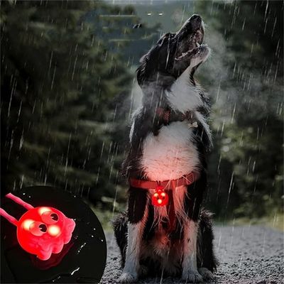 IntiMeg Pendentifs pour Colliers Chien