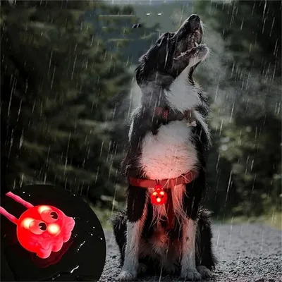 IntiMeg Colgantes para collares de perros