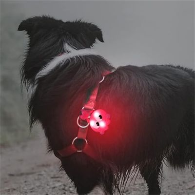 IntiMeg Pendentifs pour Colliers Chien