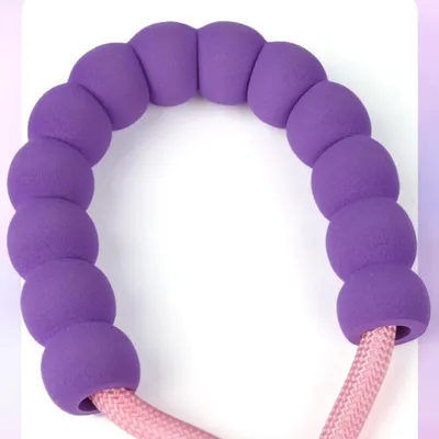 IntiMeg Laisse pour Chien