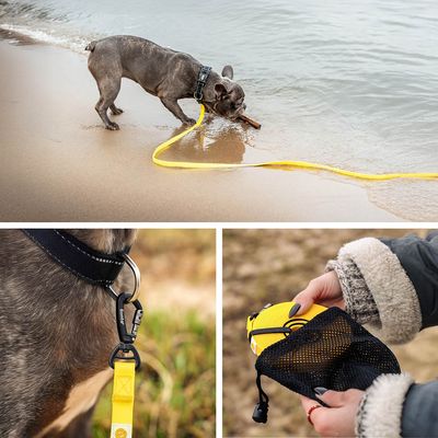 lionto Schleppleine für Hunde aus Nylon mit PVC-Beschichtung