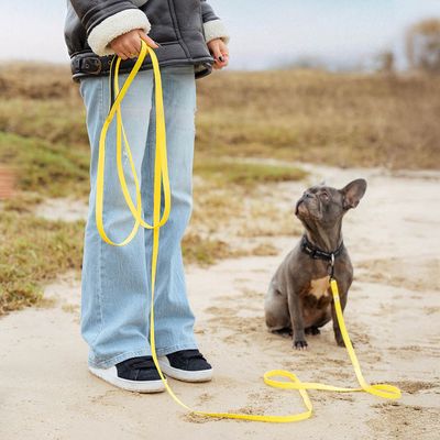 lionto Schleppleine für Hunde aus Nylon mit PVC-Beschichtung