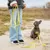 lionto laisse de traction longue pour chiens nylon avec revêtement PVC